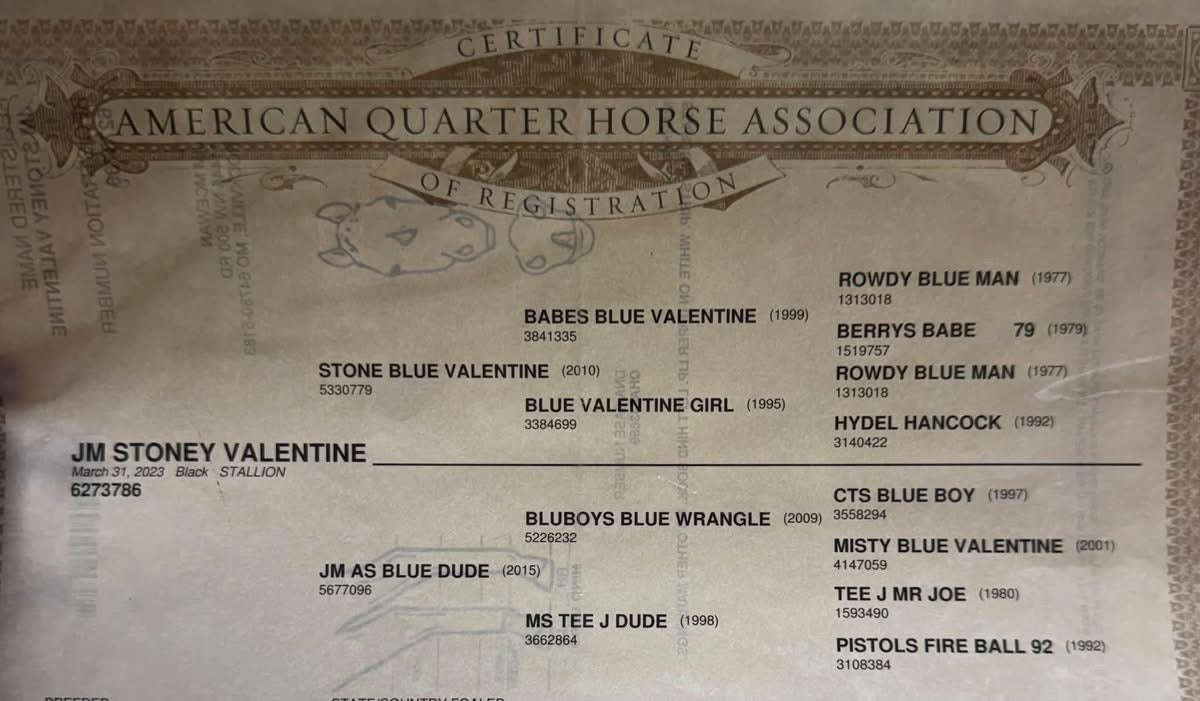 "JM STONEY VALENTINE"