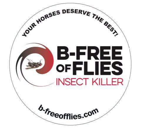 B-Free of Flies